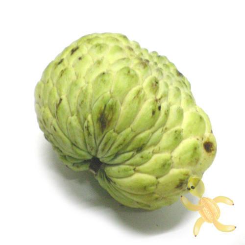 佳利麦鲜果-台湾凤梨蜜释迦1个番荔枝新鲜水果限北京香甜味