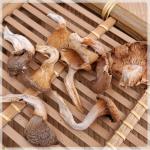【真姬菇】古田特产 海鲜菇 富含赖氨酸 出口日本250g